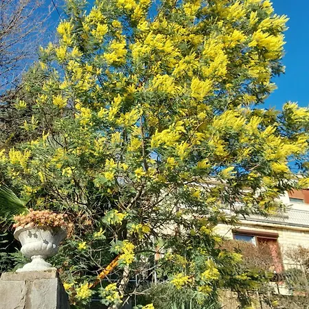 Ana Apartment Opatija