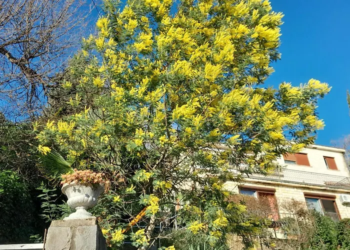 Ana Lejlighed Opatija