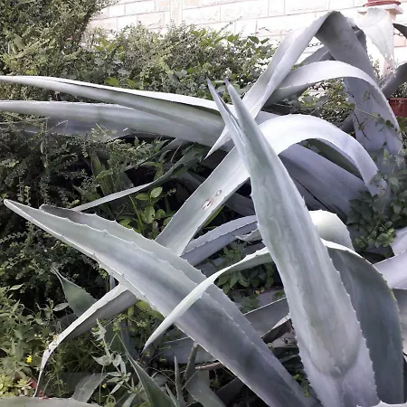 Apartmán Ana Opatija